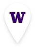 University of Washington Pin
